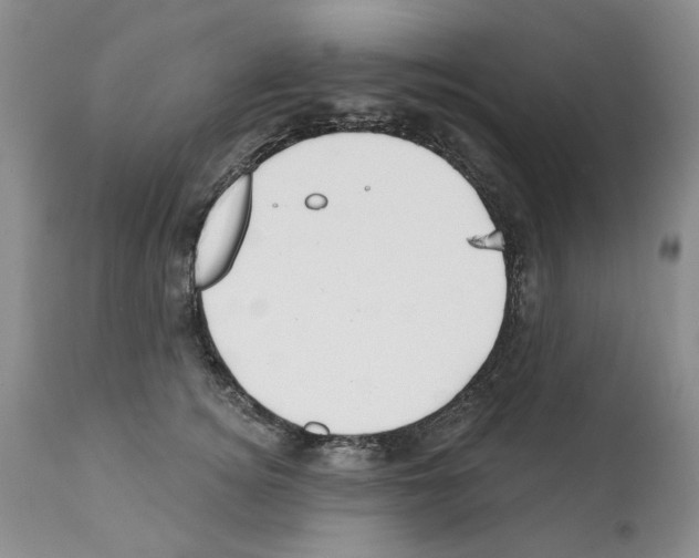 X0000112060756200909151025