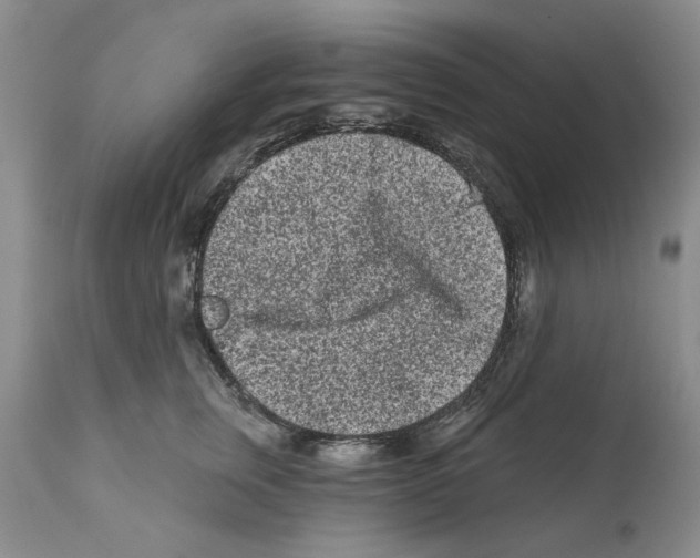 X0000112060759200909151025