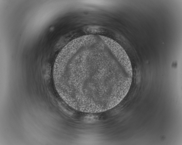 X0000112060760200909151025
