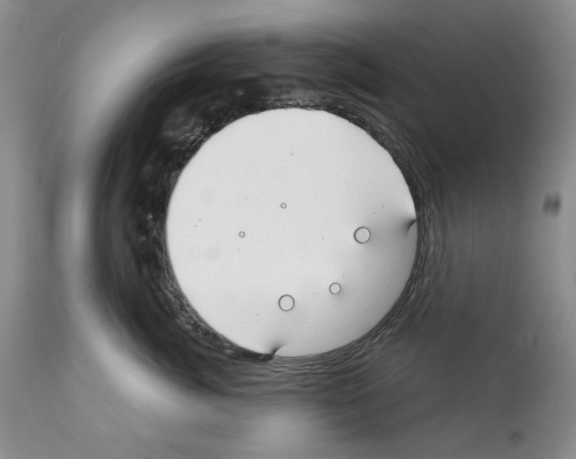 X0000112060764200909151025