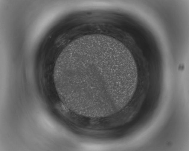 X0000112060766200909151025