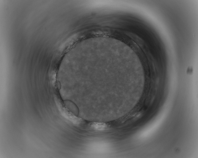 X0000112060767200909151025