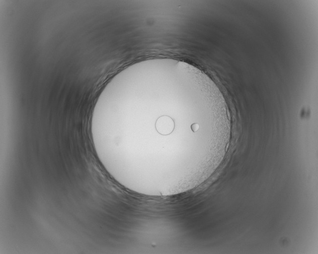 X0000112060768200909151025