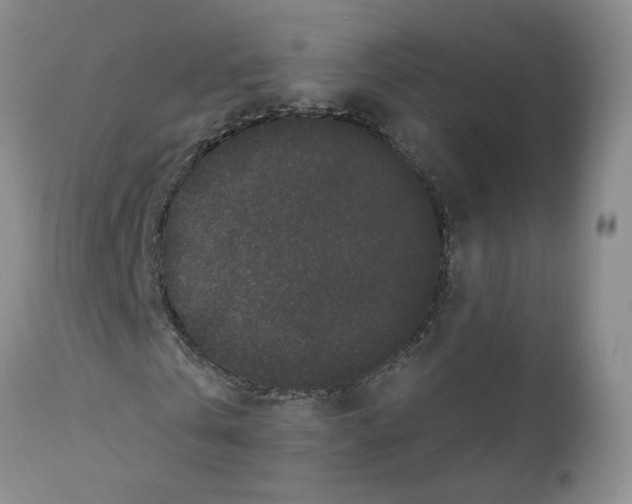 X0000112060769200909151025