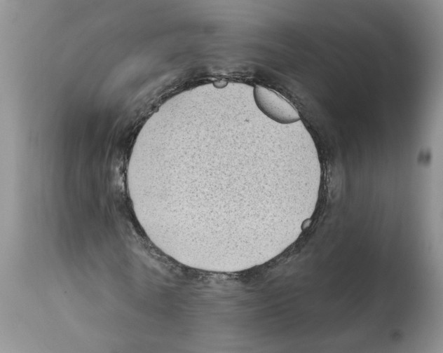 X0000112060770200909151025