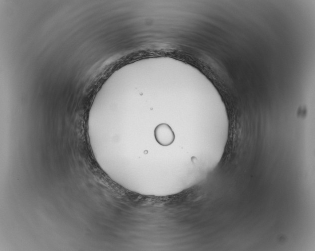 X0000112060773200909151025