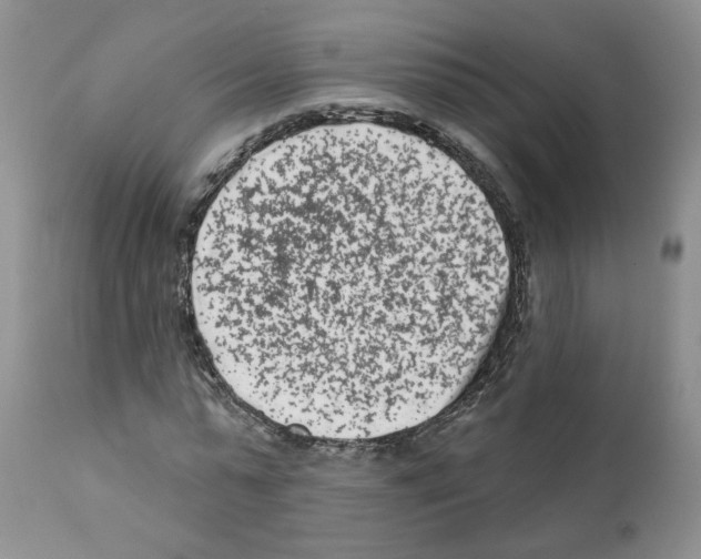 X0000112060775200909151025