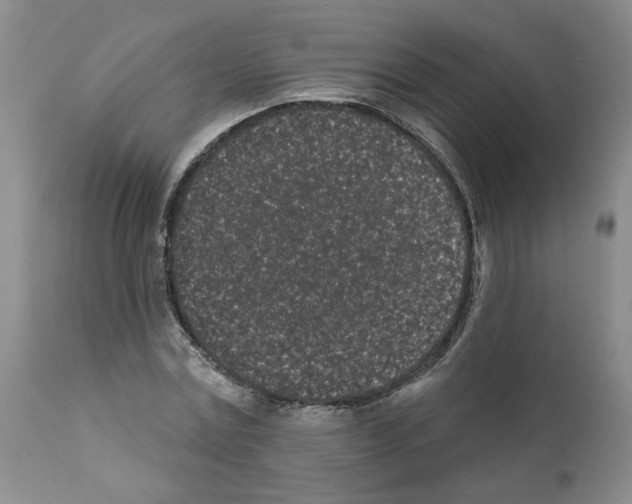 X0000112060779200909151025