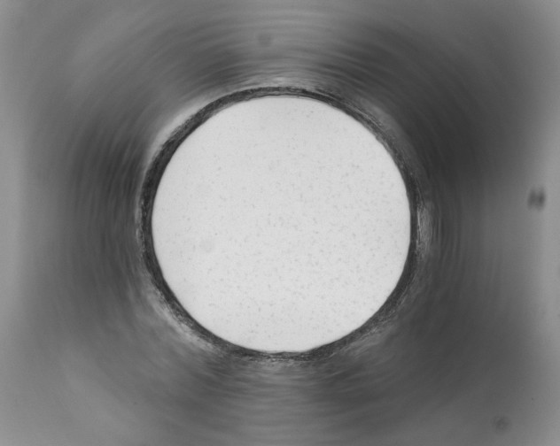 X0000112060780200909151025