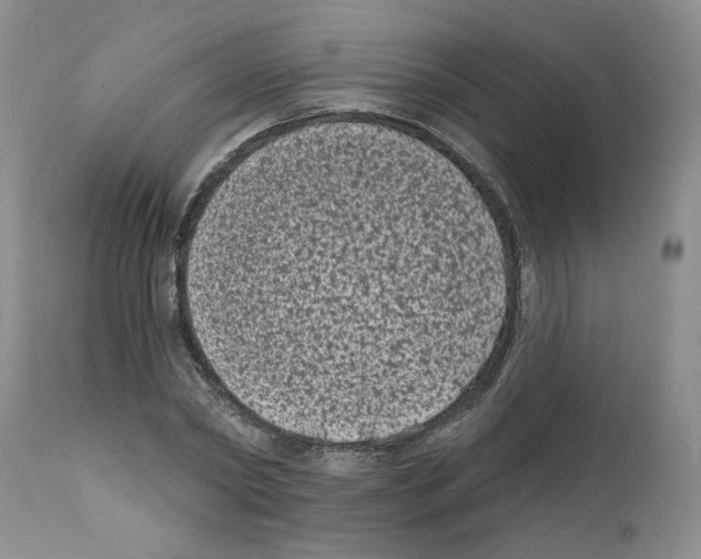 X0000112060782200909151025