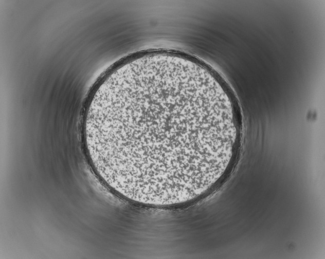 X0000112060783200909151025
