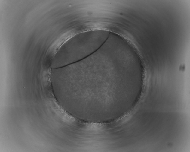 X0000112060785200909151025