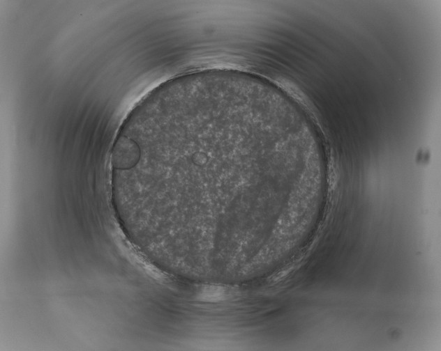 X0000112060790200909151024
