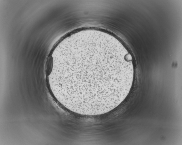 X0000112060791200909151024