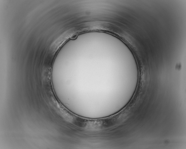X0000112060793200909151024