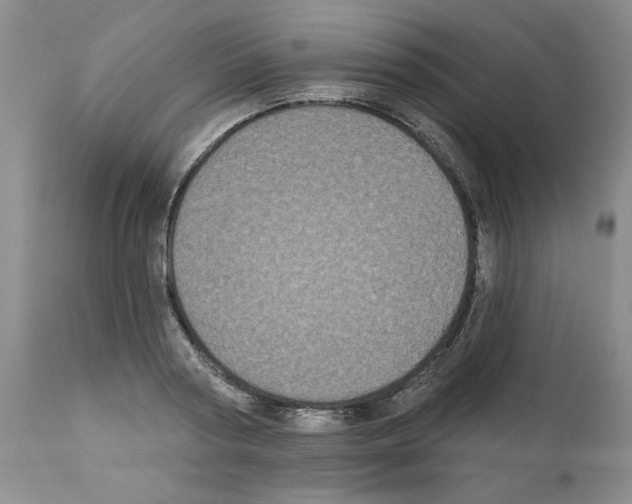 X0000112060794200909151024