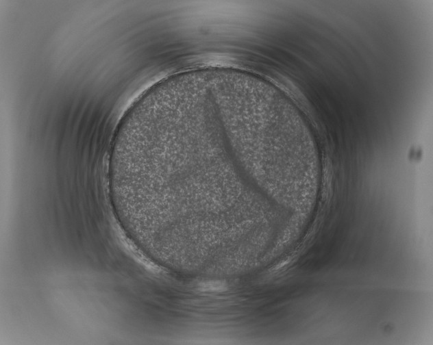 X0000112060798200909151024