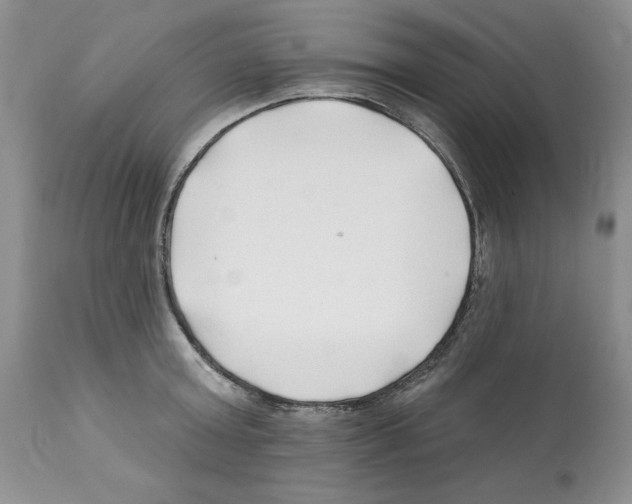 X0000112060803200909151024