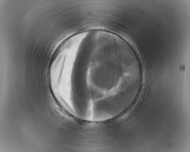X0000112060806200909151024