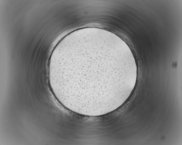 X0000112060808200909151024