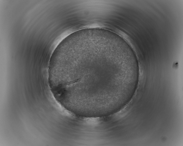 X0000112060810200909151024