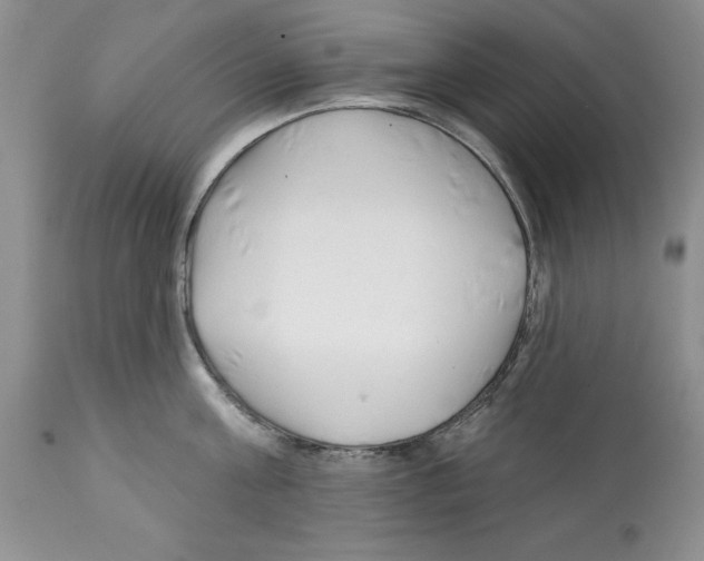 X0000112060811200909151024