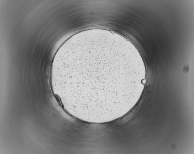 X0000112060812200909151024