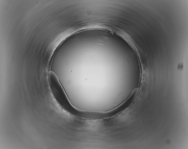 X0000112060813200909151024