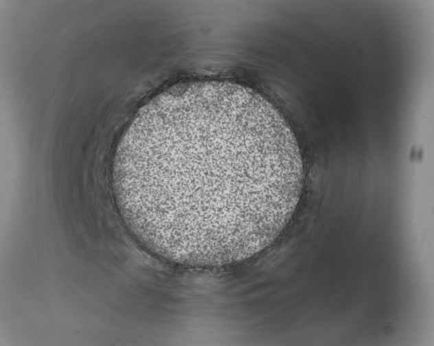 X0000112060817200909151023