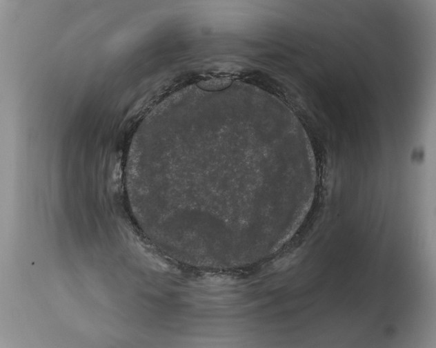 X0000112060818200909151023