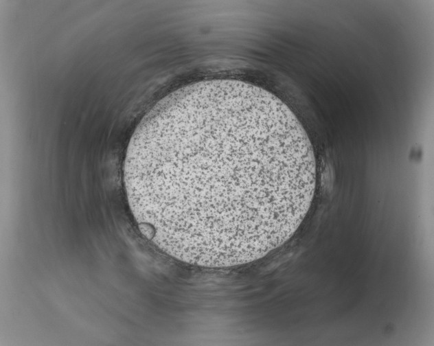 X0000112060819200909151023
