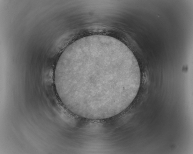 X0000112060820200909151023