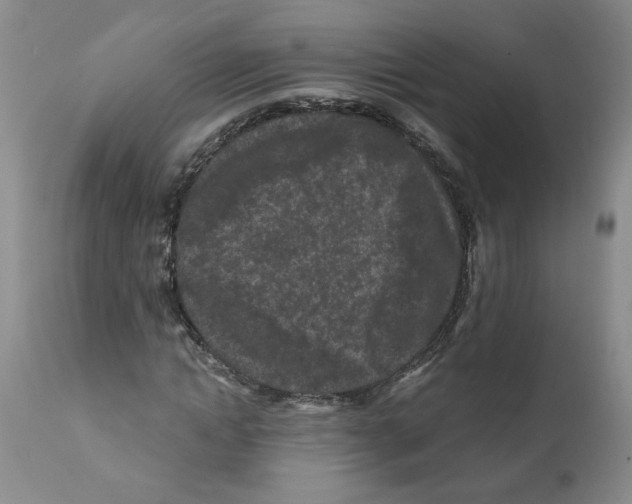 X0000112060822200909151023