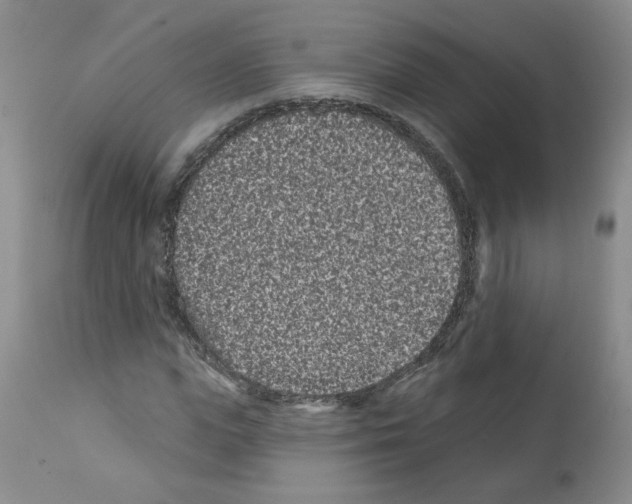 X0000112060823200909151024