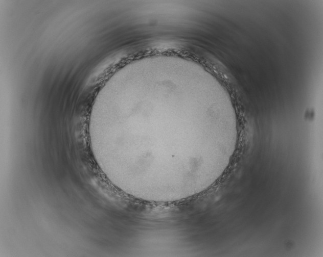 X0000112060824200909151024
