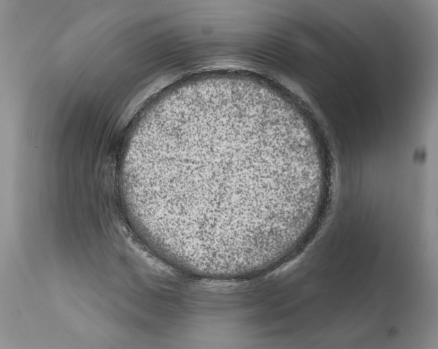X0000112060825200909151024