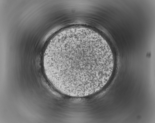 X0000112060826200909151024