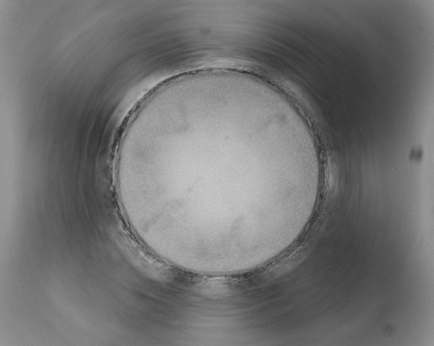 X0000112060828200909151024