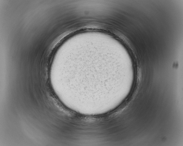 X0000112060829200909151024