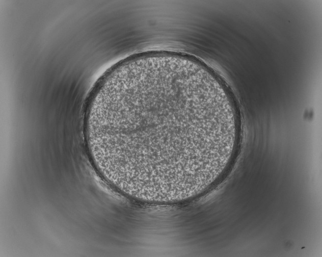 X0000112060830200909151024