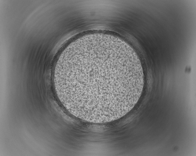 X0000112060831200909151024