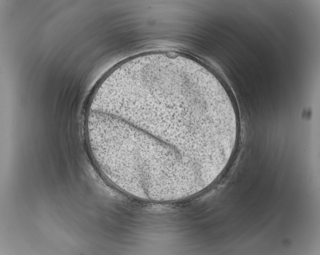 X0000112060835200909151024