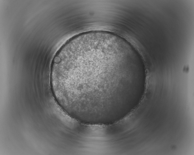 X0000112060836200909151024