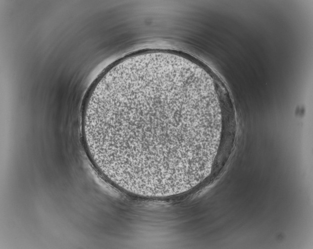 X0000112060837200909151024