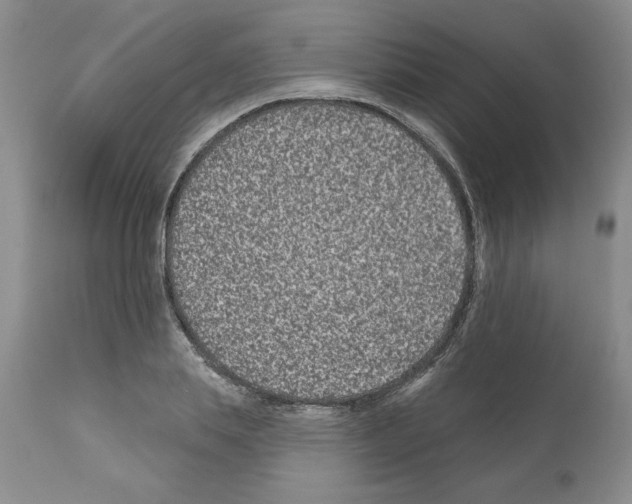 X0000112060839200909151024