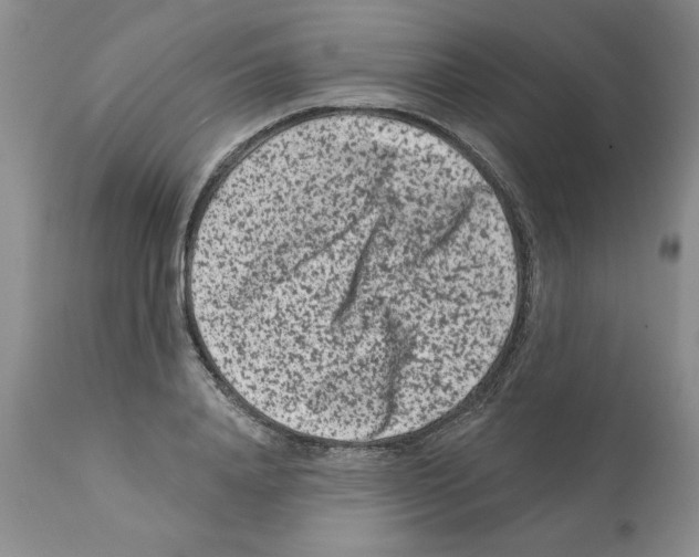X0000112060840200909151024