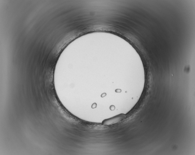 X0000112060841200909151024
