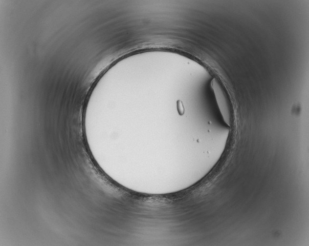 X0000112060842200909151024
