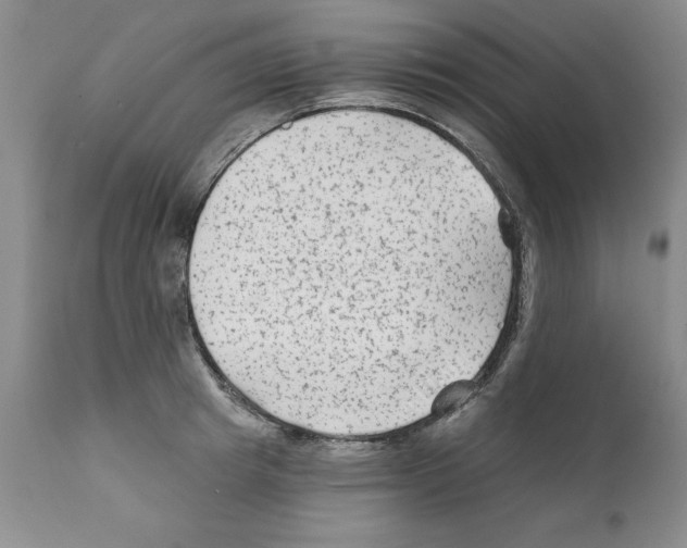 X0000112060849200909151024