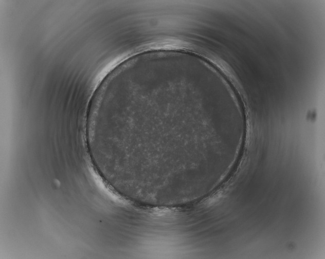 X0000112060850200909151024